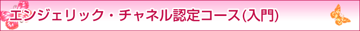 �G���W�F���b�N�E�`���l���E�F��R�[�X�i����j�@