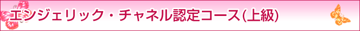 �G���W�F���b�N�E�`���l���E�F��R�[�X�i�㋉�j�@