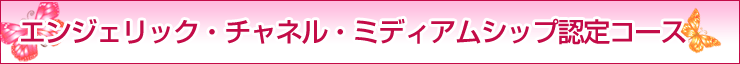 �G���W�F���b�N�E�`���l���E�~�f�B�A���V�b�v�F��R�[�X